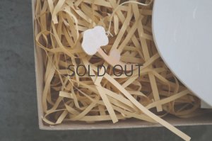 画像7: iriki/モビール pegasus(run)