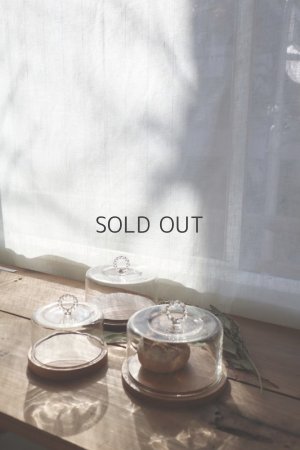 画像3: HARIO Lampwork Factory Cheesedome  M