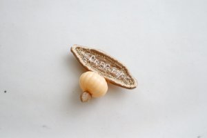 画像1: gungulparman/brooch 24