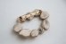 画像2: gungulparman/brooch 27 (2)