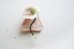 画像2: gungulparman/brooch 22 (2)