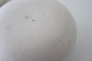 画像3: acutti /omochi (M)