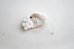 画像1: gungulparman/brooch 23  (1)