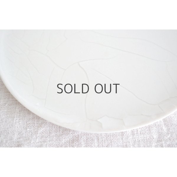 画像4: 田中陽子/18cm白丸皿(2) (4)