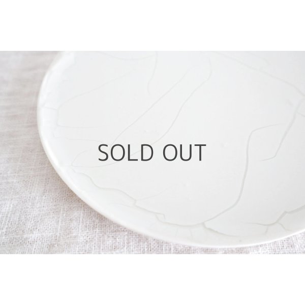画像3: 田中陽子/18cm白丸皿(2) (3)