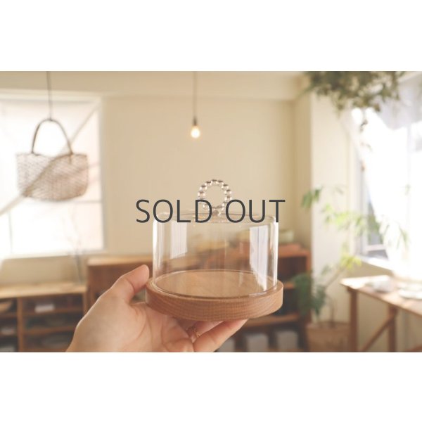 画像5: HARIO Lampwork Factory Cheesedome  S (5)