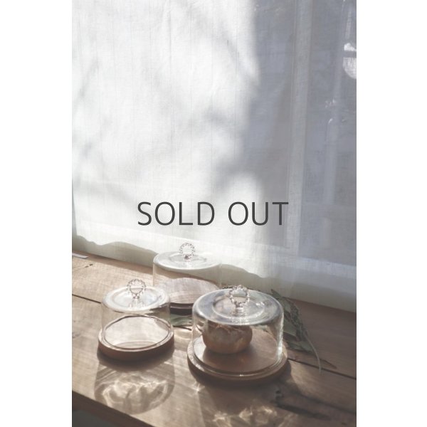 画像3: HARIO Lampwork Factory Cheesedome  M (3)