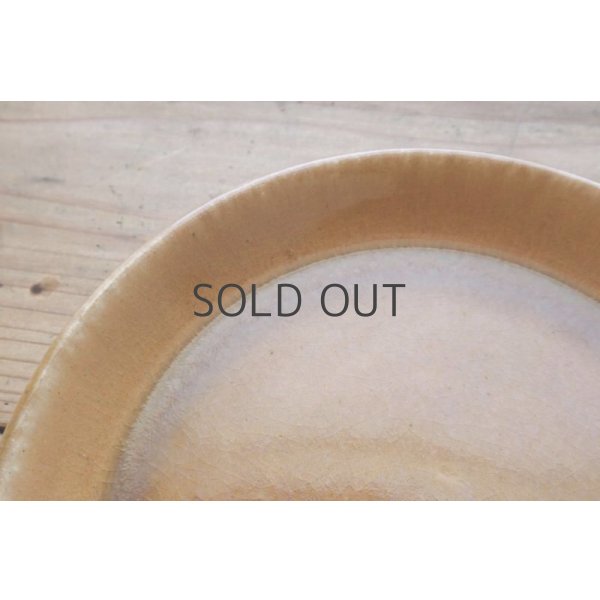 画像3: ネギシ製陶/ 7寸平皿（アンバー) (3)