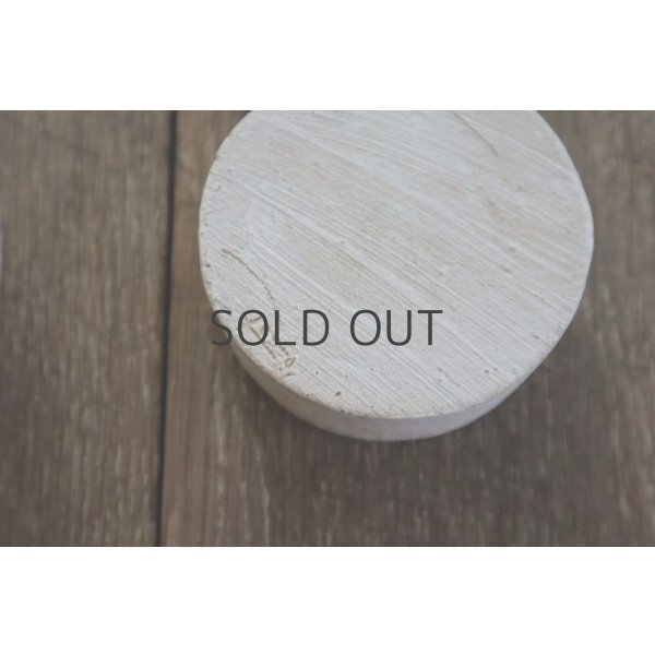 画像10: 赤染友子/PAO (10)