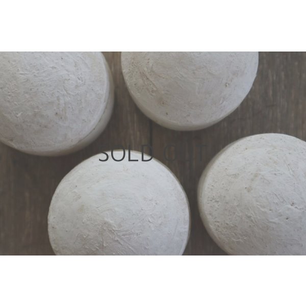 画像3: 赤染友子/PAO (3)