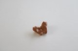 画像: gungulparman/チョウチョ(1)