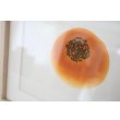 画像2: 彦坂木版工房/ 「あんぱん」 (2)