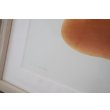 画像4: 彦坂木版工房/ 「クリームパン」 (4)
